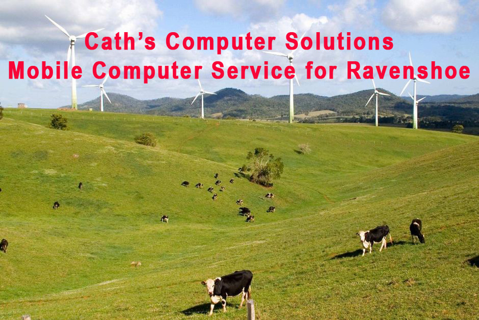 Cath's Computer Solutions Pic 1