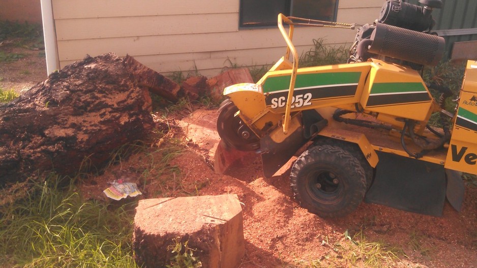 Aussie Stump Mulchers Pic 1