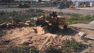 Aussie Stump Mulchers Pic 4