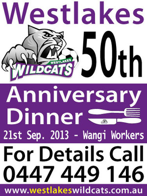 Steve The Vinyl Banner Guy Pic 2 - Here a sign I did for a local sports club The Wildcats These can be either vinyl banners or corflute board if you want