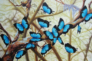 Carry Smith Artist Pic 2 - Fly Ulysses Butterflies painting by Carry Smith Artist