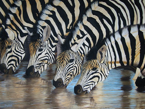 Carry Smith Artist Pic 3 - Waterhole Zebra at Waterhole Painting by Carry Smith Artist