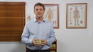 Ansell Chiropractic Centre Pic 4 - Townsville Chiropractor discussing disc pain