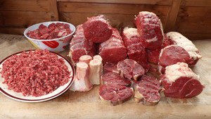 CGL Beef Pic 2 - Whole Body Beef Orders