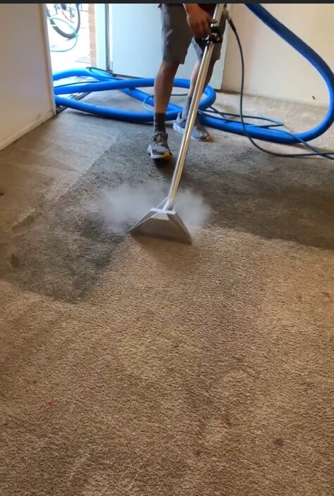 zoom carpet cleaning Pic 1