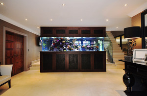 Aquarium Architecture Pic 3 - Aquarium Architecture Luxury Aquarium Design