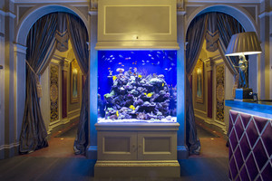 Aquarium Architecture Pic 2 - Aquarium Architecture Luxury Aquarium Design