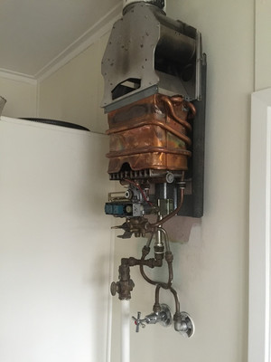 The Gas Guru Vic Pic 4 - Service and repairs to all types of hotwater units