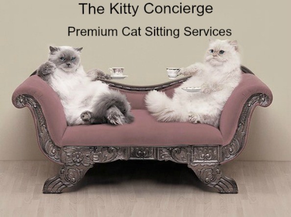 The Kitty Concierge Pic 1