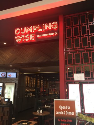 Dumpling Wise Pic 5