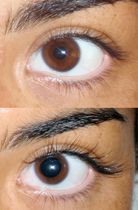 DreamLashes Bondi Pic 2 - Natural Set 2