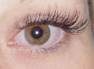 DreamLashes Bondi Pic 3 - Natural Set Silk