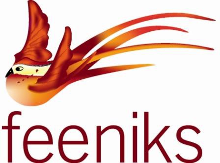 Feeniks Pic 1 - career guidance coaching and training services