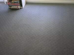 The Carpet And Upholstery Gp + Pest Control Pic 3