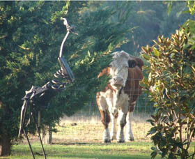 Honeymoon Hill Pic 1 - Honeymoon Hill Margaret River Western Australia