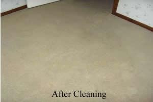 All Weather Carpet & Tile Cleaning Pic 4