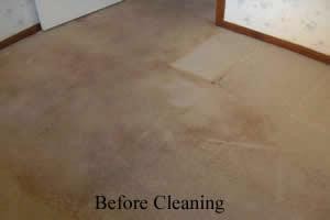 All Weather Carpet & Tile Cleaning Pic 3