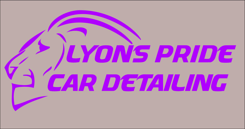 Lyon's Pride Car Detailing Pic 1