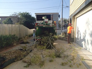 Energetic Tree Lopping Pic 4 - Removing debris from worksite