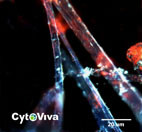 Scitech Pty Ltd Pic 3 - CytoViva High Resolution Microscopy