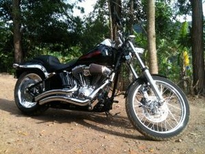 Queensland Private Limousines Pic 2 - Softail