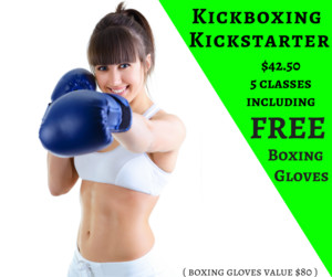 Advanced Martial Arts & Fitness Pic 2 - Kickboxing Kickstarter 4250 for 5 classes including FREE boxing gloves boxing gloves value 80