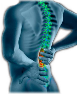 The Physio Practice Pic 3 - Back Pain