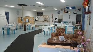 Take the Plunge Cafe Pic 3