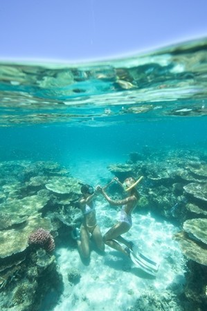 SeaLink QLD Pic 3 - Explore the fringing reefs surrounding Magnetic Island on a selfguided snorkel trail