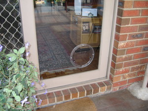 Liquid Glass and Glazing Pic 2 - pet doors