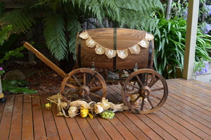 Wishing Wells Hire Pic 3 - Wishing Well Wagon Unique Design