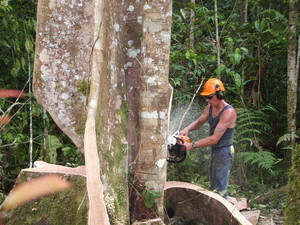 Steve Smith Chainsaw Training Pic 5