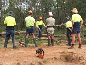 Steve Smith Chainsaw Training Pic 3