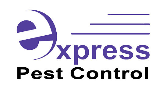 EXPRESS PEST CONTROL Pic 1 - Logo