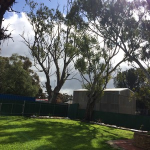 Farrell Flat Hotel, South Australia Pic 5 - The beer garden