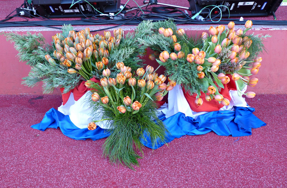 TNB TULIPS Pic 1