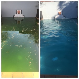 On Top Pool Service Pty Ltd Pic 4 - Before And After