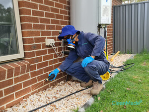 CleanMade Australia Pic 4 - Pest Control Melbourne