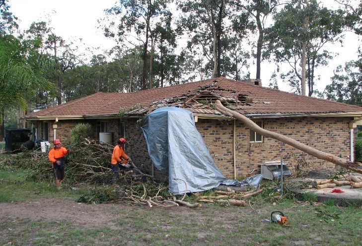 Cost U Less Tree Lopping Services Pic 1