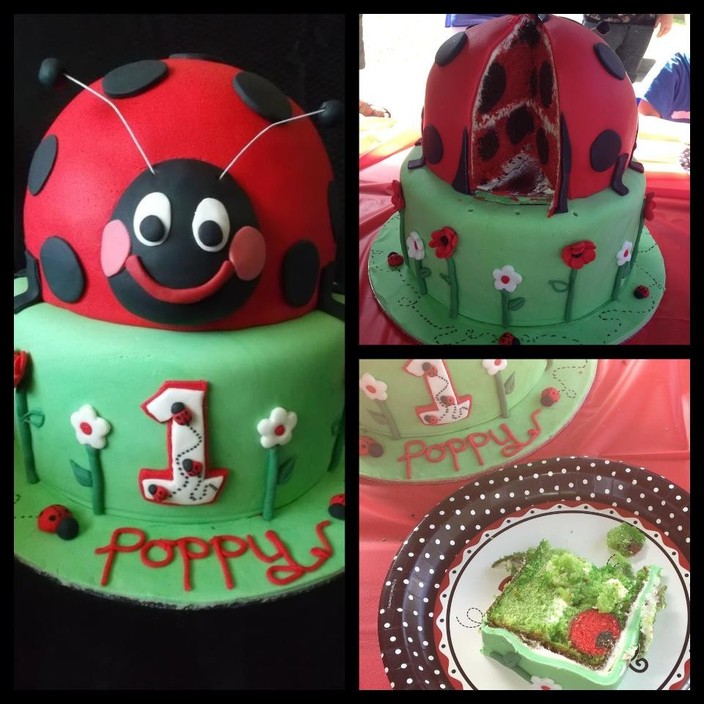 Coxie's Cakes Pic 1 - Ladybird spots inside your cake