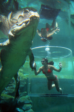 Crocosaurus Cove Pic 3