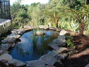 Des's Landscaping & Irrigation Pic 3