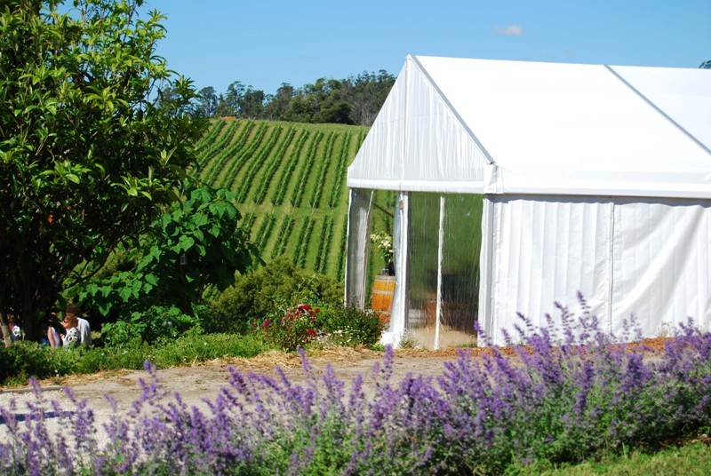 Leaning Church Vineyard Pic 1 - Spectacular vineyard views past permanent marquee capable of seating up to 140 for weddings and corporate functions