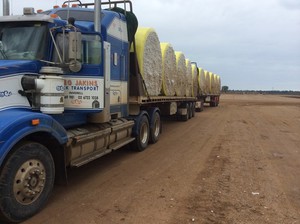 Greg Jakins Stock Transport Pic 3 - flatop road train work