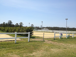 S & S Cooper Electrical Pic 2 - Outside arena lighting for the dedicated riders Rivergum Equestrian Centre