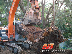 A & J Tree Services Pic 4 - final stages of land clear