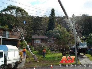 A & J Tree Services Pic 2 - working with cranes