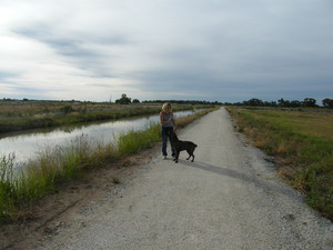 Swan Hill Pet Boarding Pic 5 - Walky time