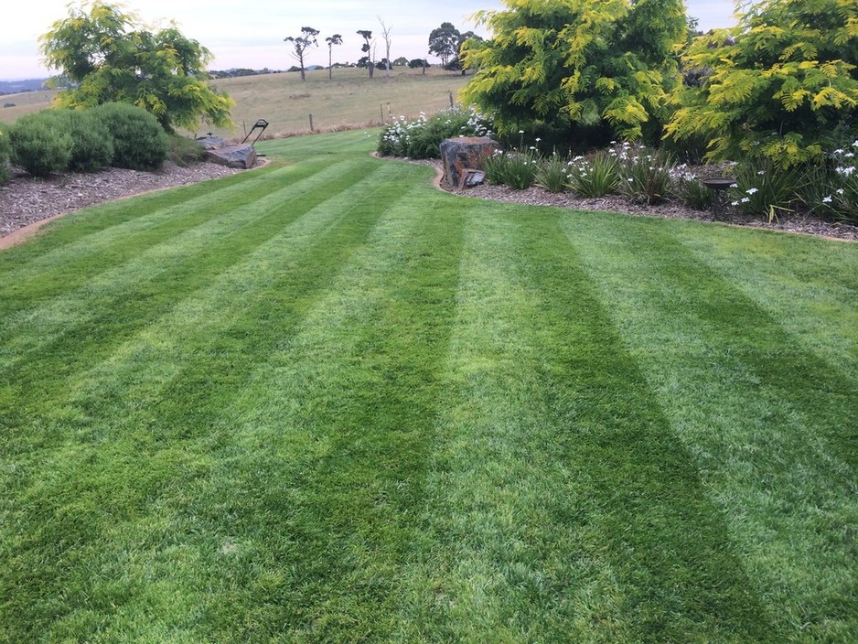 Snow Turf & Irrigation Landscapes Pic 1