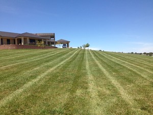 Snow Turf & Irrigation Landscapes Pic 2